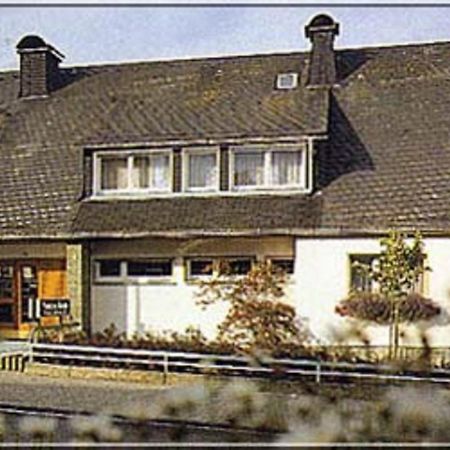 Pension Braun Winterberg Bagian luar foto
